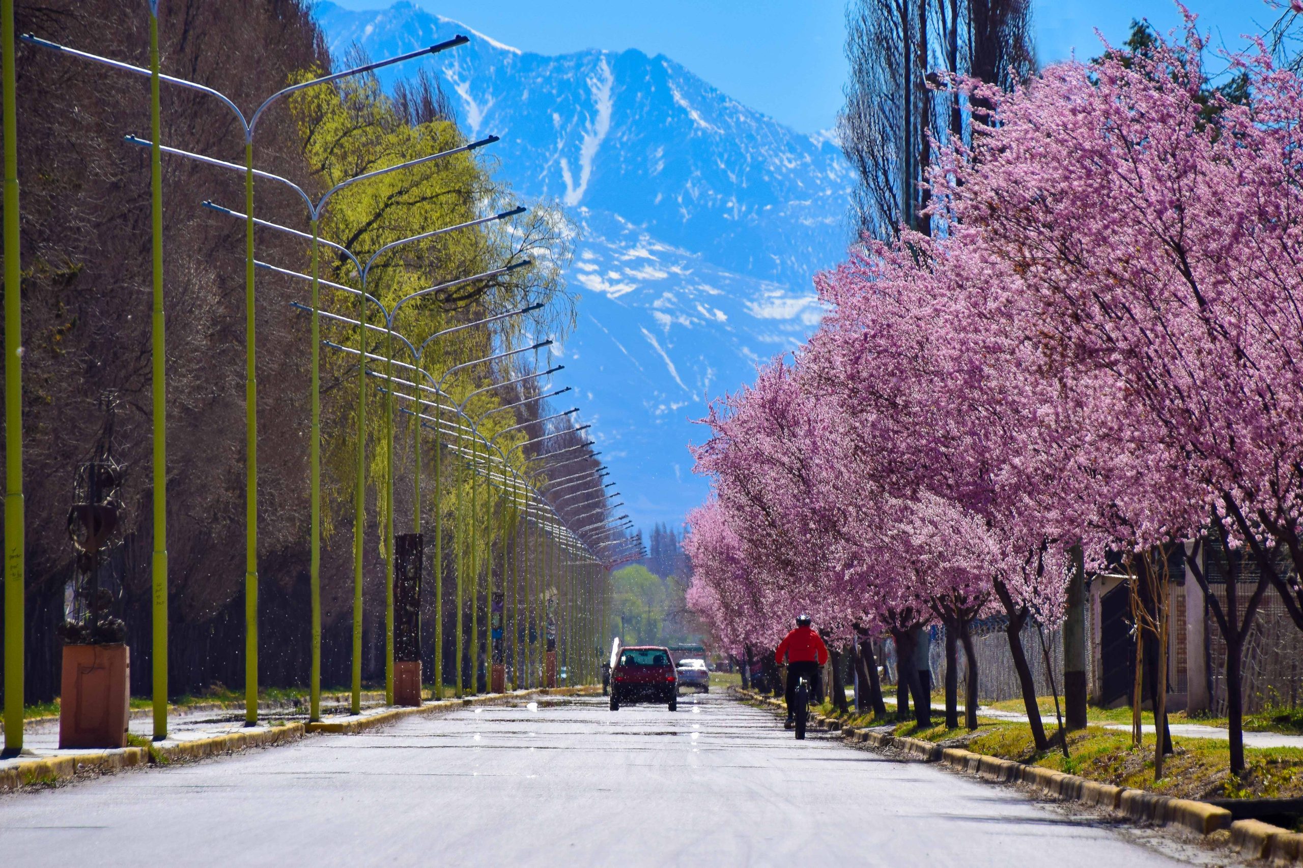 Tupungato Centro