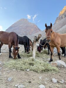 🐎 Cabalgatas en el Manzano Histórico, Mendoza